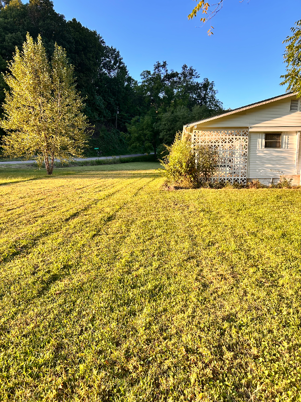 1573 Leatherman Gap Rd - Photo 6 of 20