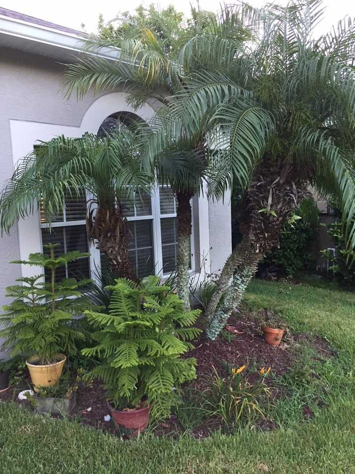 4830 Windingbrook Trl - Photo 4 of 15