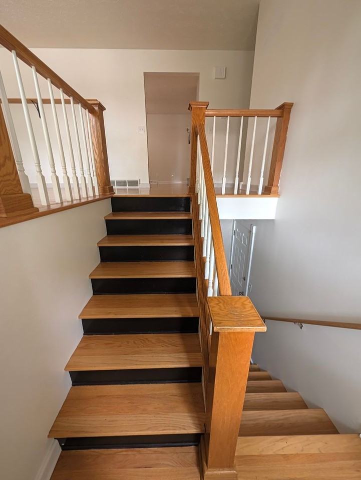 808 Leprechaun Ln - Photo 4 of 50