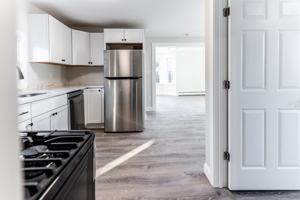 featured image of 17 Bickerton St #17