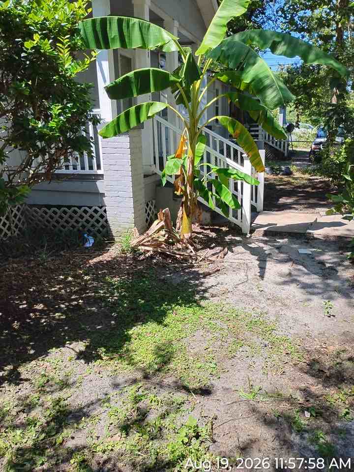 1636 W 28th St #1 - Photo 4 of 14