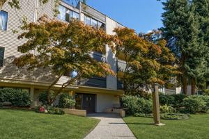 featured image of 13784 101 Ave