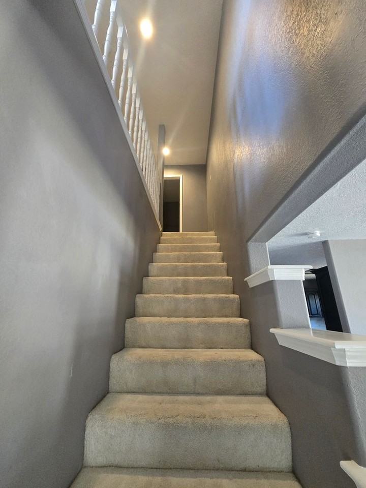 231 Olive Dr - Photo 7 of 19