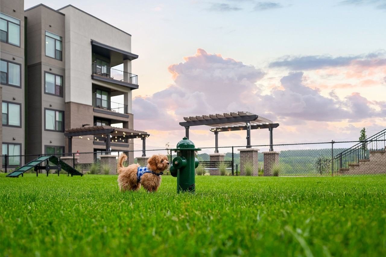 ALTO Apartments of Lenexa - Photo 4 of 50