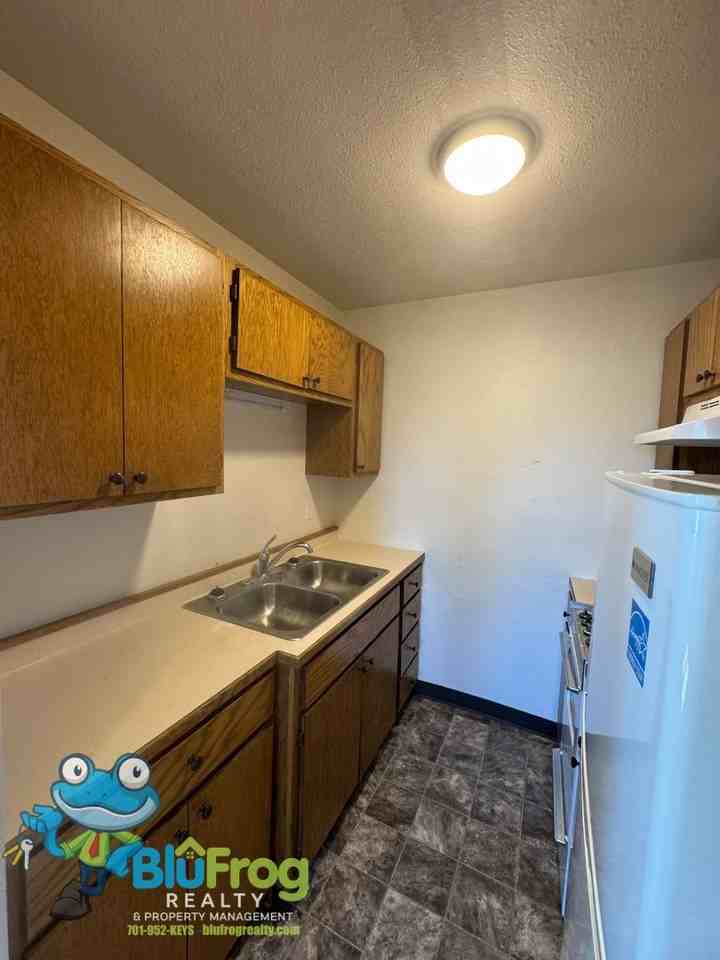 402 2nd Ave Nw #313 - Photo 4 of 13