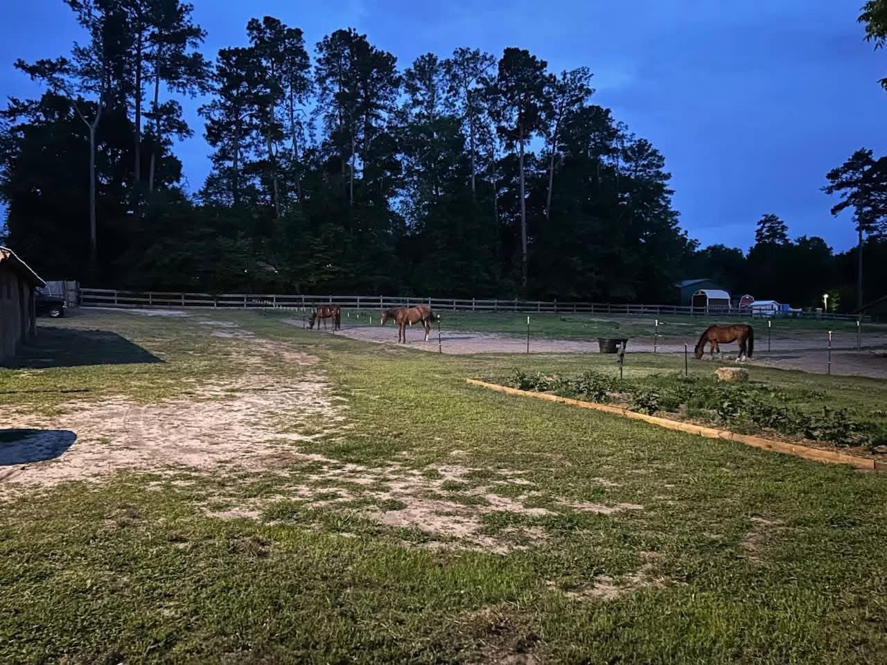 8701 Aberdeen Rd #NA - Photo 7 of 8