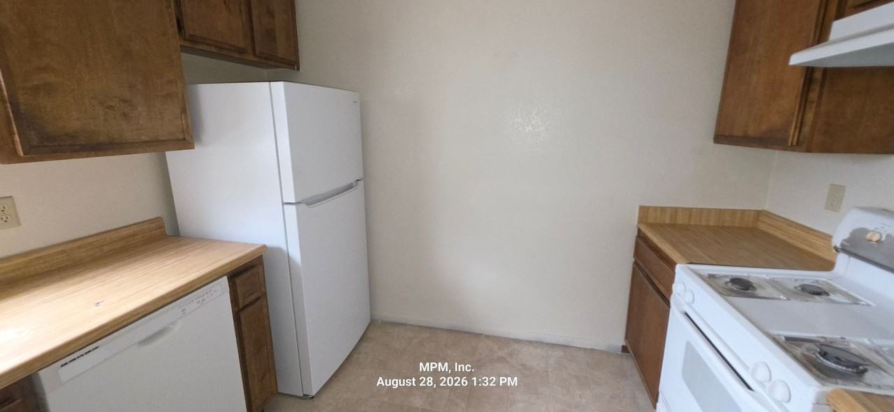 3411 Spring Street Apts - Photo 5 of 22
