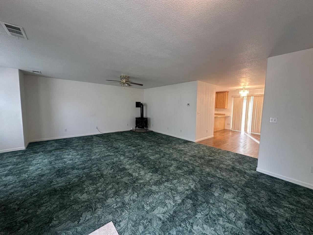1250 Shadow Mountain Dr - Photo 3 of 16