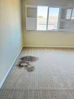 featured image of 1427 Wyndham Ln