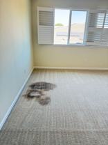 1427 Wyndham Ln - Photo 1 of 1
