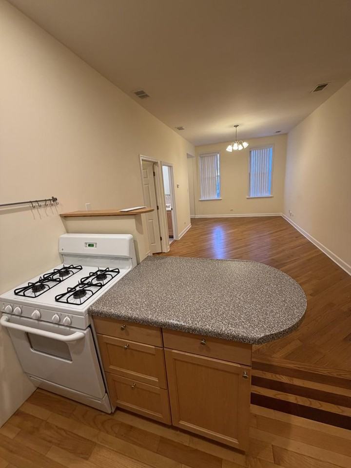 1242 N Bosworth Ave #1F - Photo 2 of 14