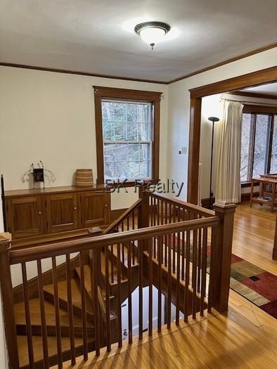 67 Trowbridge Ave - Photo 2 of 15