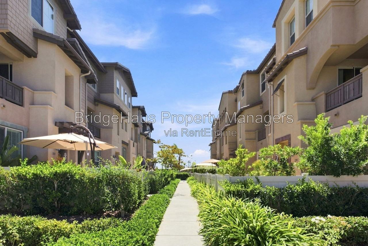 1295 Via Lucero - Photo 3 of 49
