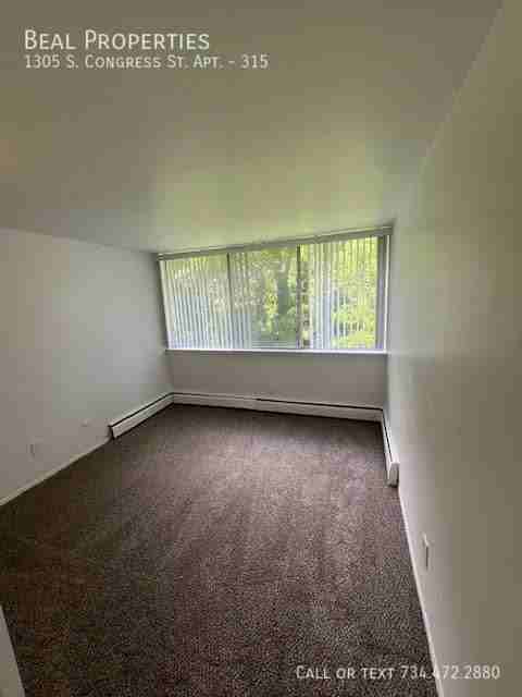 1305 S Congress St #315 - Photo 6 of 20