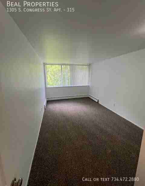 1305 S Congress St #315 - Photo 7 of 20