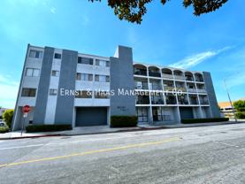 4595 California Ave #209 - Photo 1 of 1