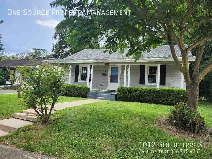 1012 Goldfloss St - Photo 2 of 18