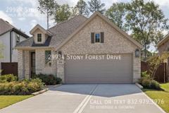 29934 Stony Forest Dr - Photo 1 of 1