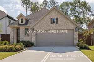 featured image of 29934 Stony Forest Dr