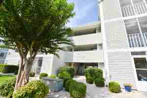 featured image of 1950 Bent Grass Dr Apt L #Apt L