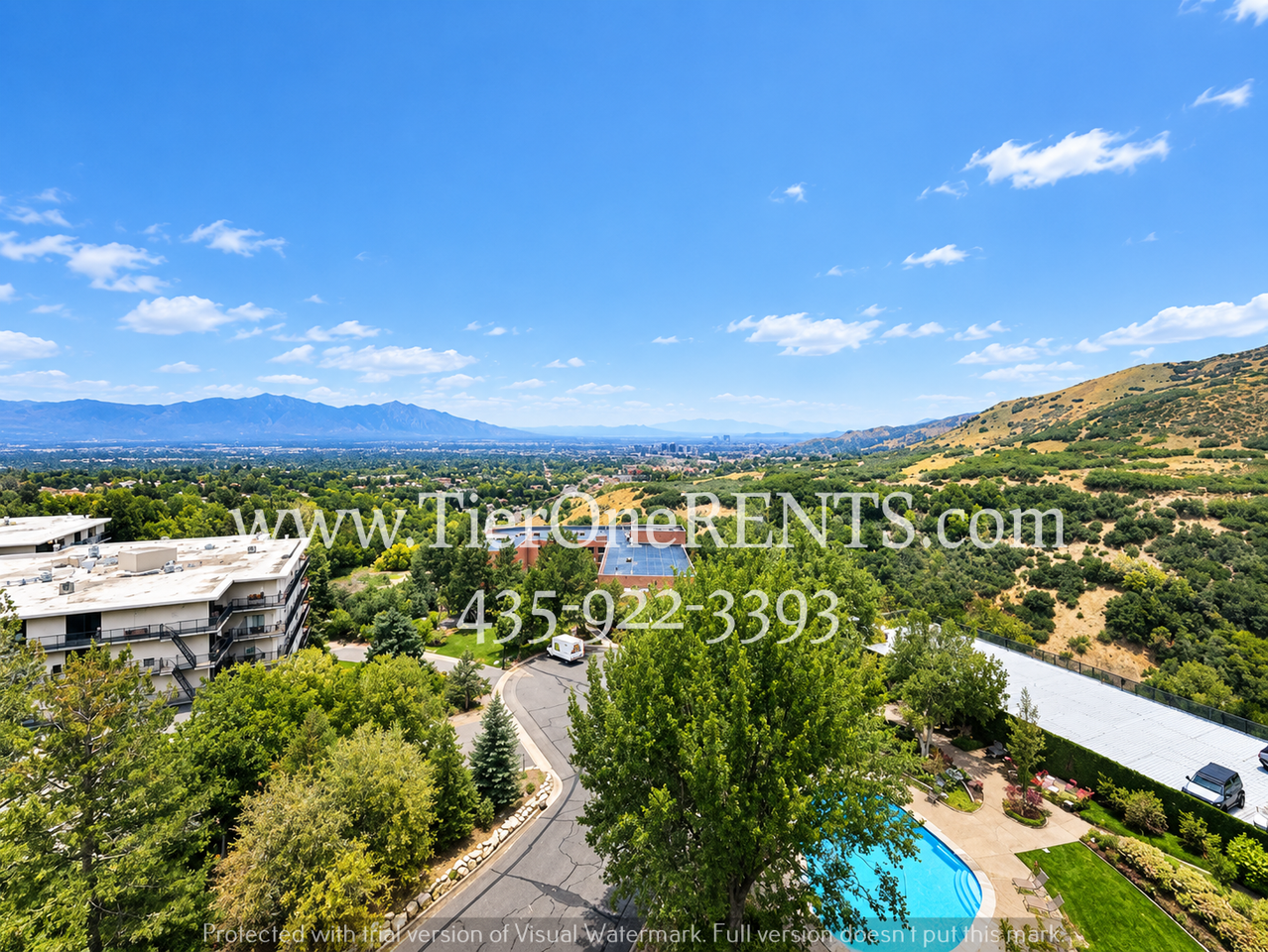 875 S Donner Cir - Photo 3 of 39