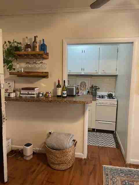633 W Deming - 7A #7A - Photo 3 of 12