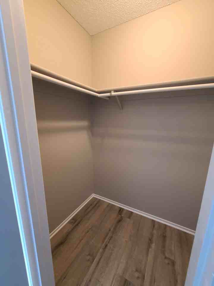 4193 Zavala St #B - Photo 5 of 13