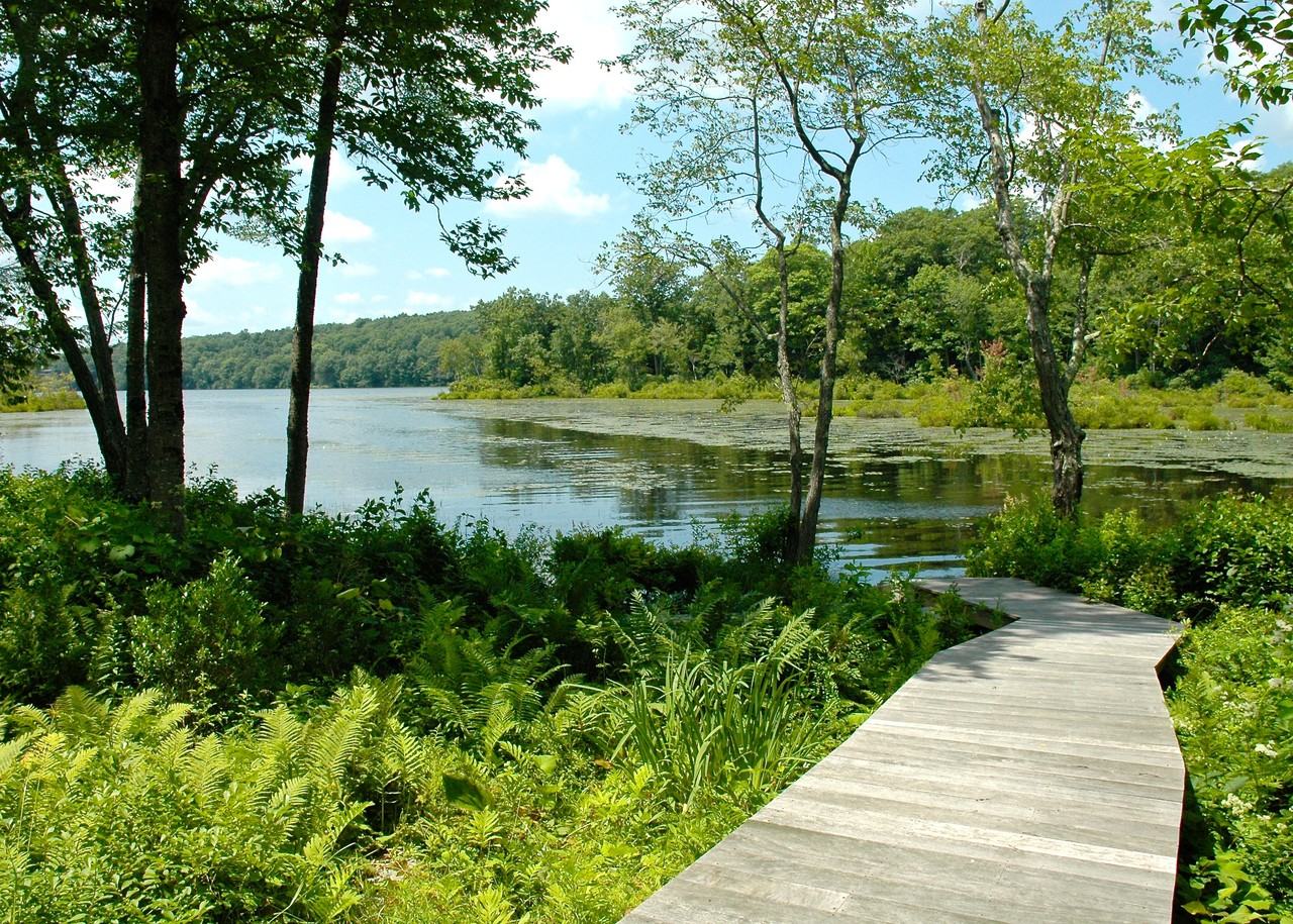 447 Segar Mountain Rd - Photo 3 of 21