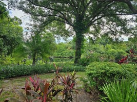 featured image of 108 Pinehurst Dr