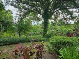 108 Pinehurst Dr - Photo 1 of 1