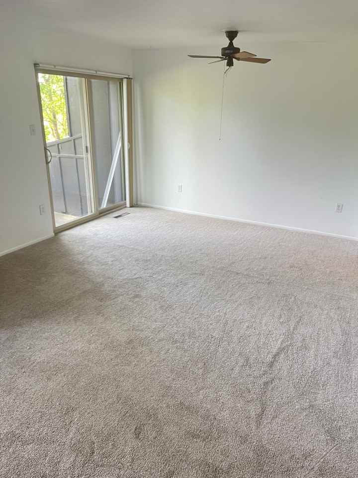 1165 Bear Mountain Dr - Photo 3 of 21