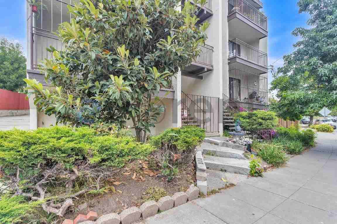 321 Athol Ave #2 - Photo 4 of 23