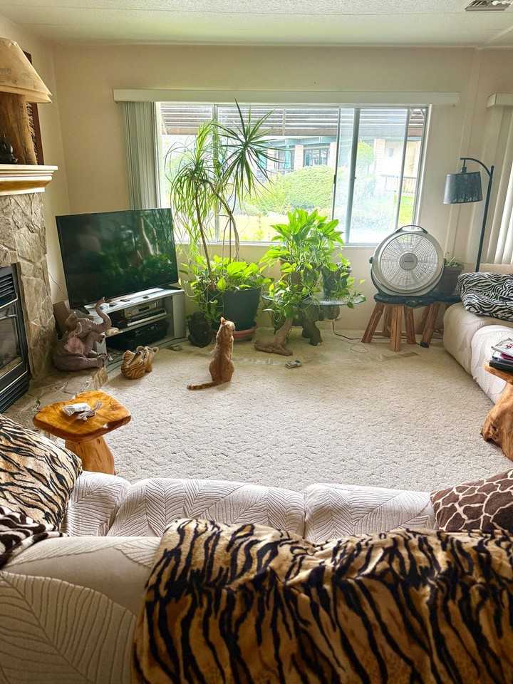 444 Whispering Pines Dr #444 - Photo 3 of 13