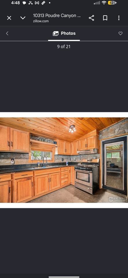 10313 Poudre Canyon Rd - Photo 2 of 11