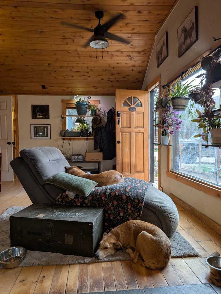 10313 Poudre Canyon Rd - Photo 6 of 11