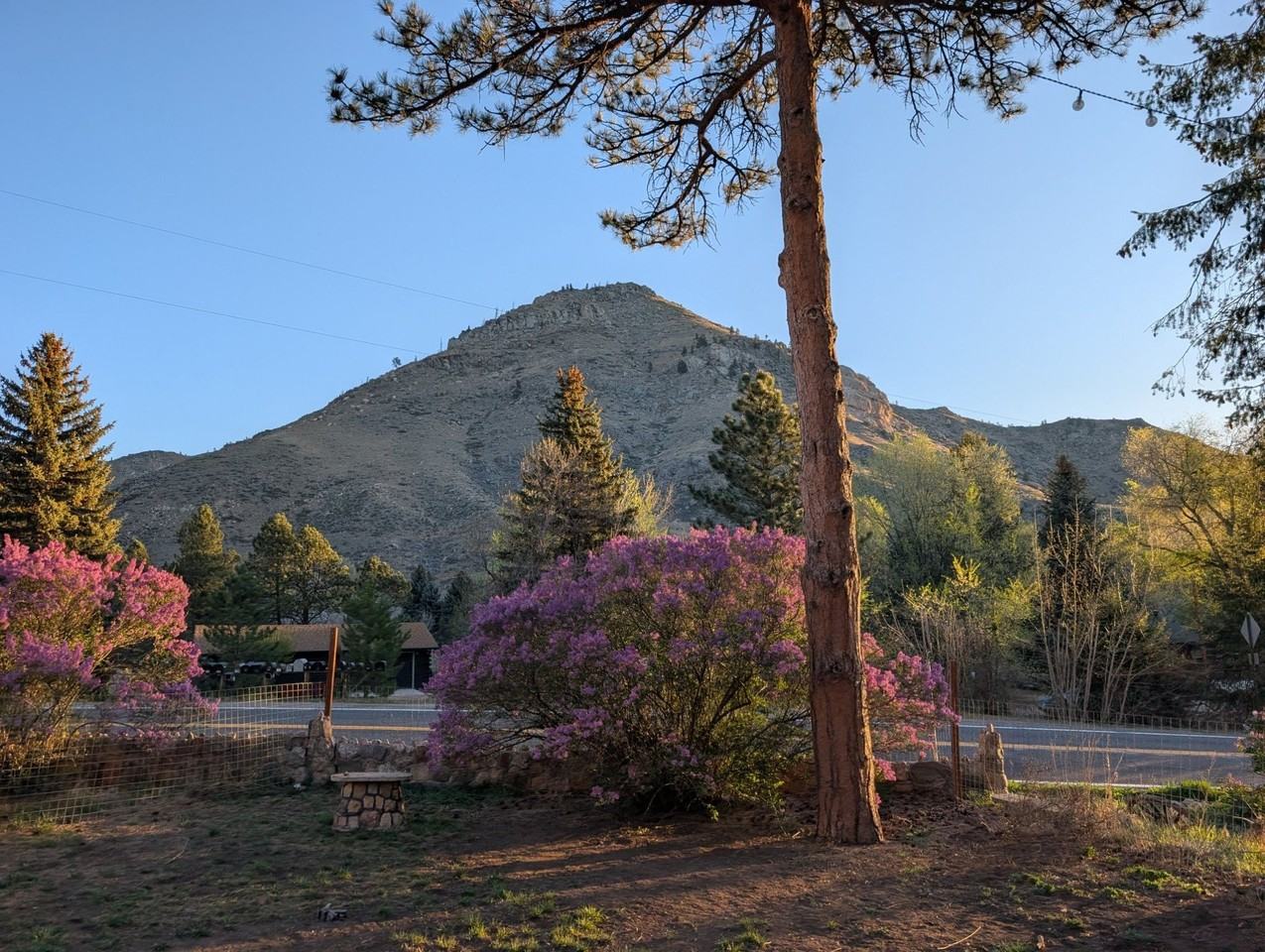 10313 Poudre Canyon Rd - Photo 7 of 11