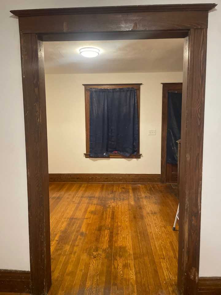 15 Elsdon St - Photo 5 of 11