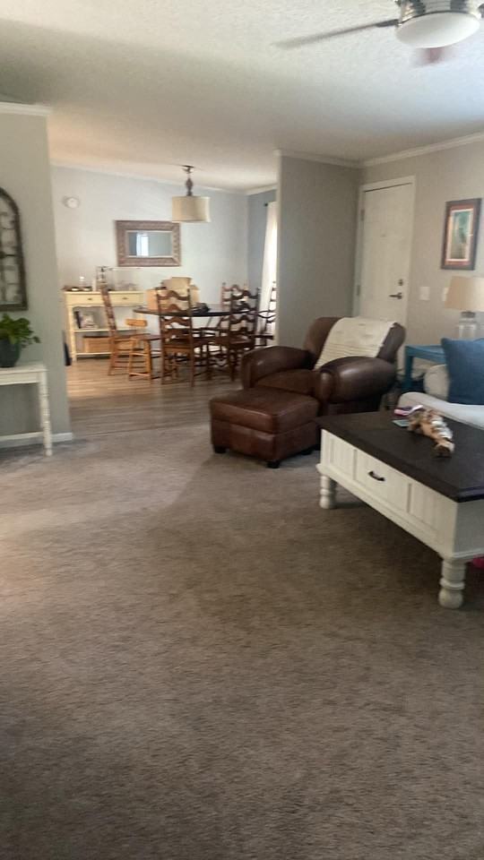 2446 Mount Pleasant Rd - Photo 5 of 15