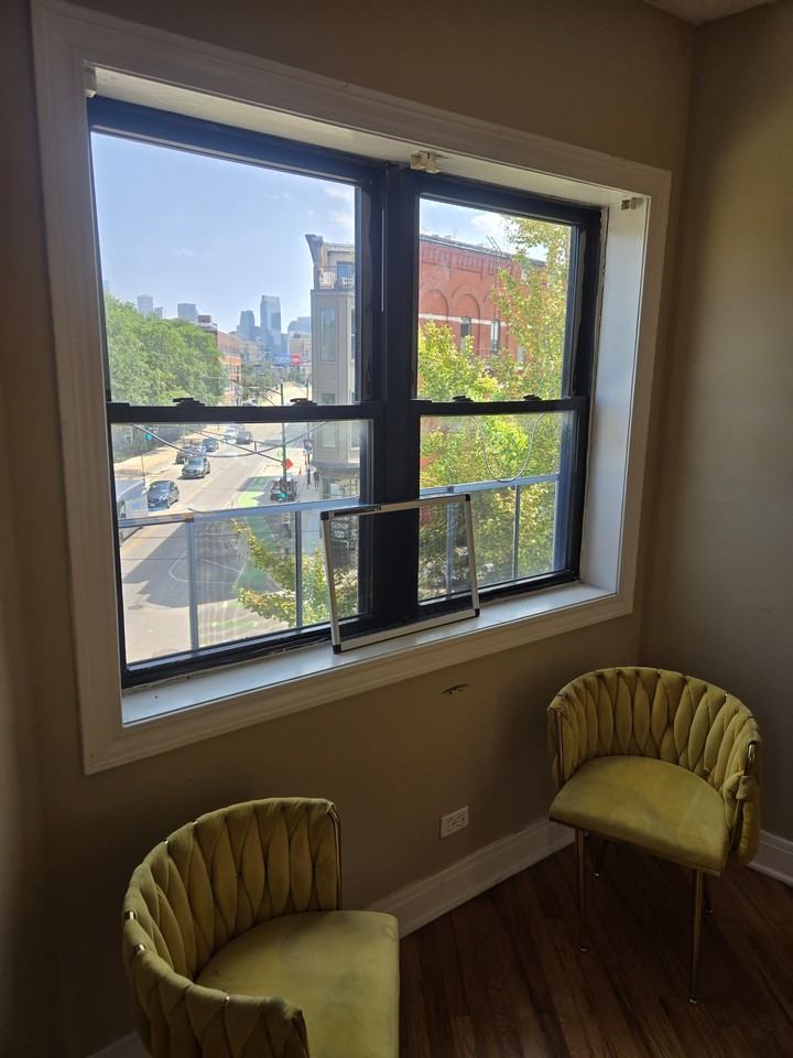 1046 N Milwaukee Ave #3 - Photo 7 of 17