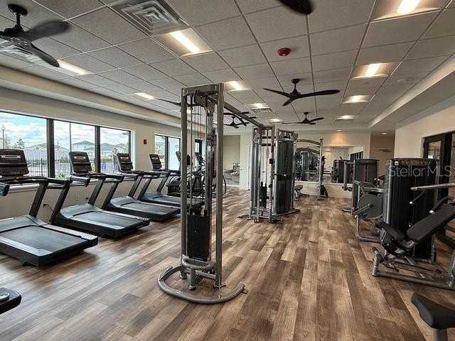 4593 Sw 81st Loop - Photo 7 of 26