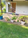 110 Clinton Ave - Photo 1 of 1