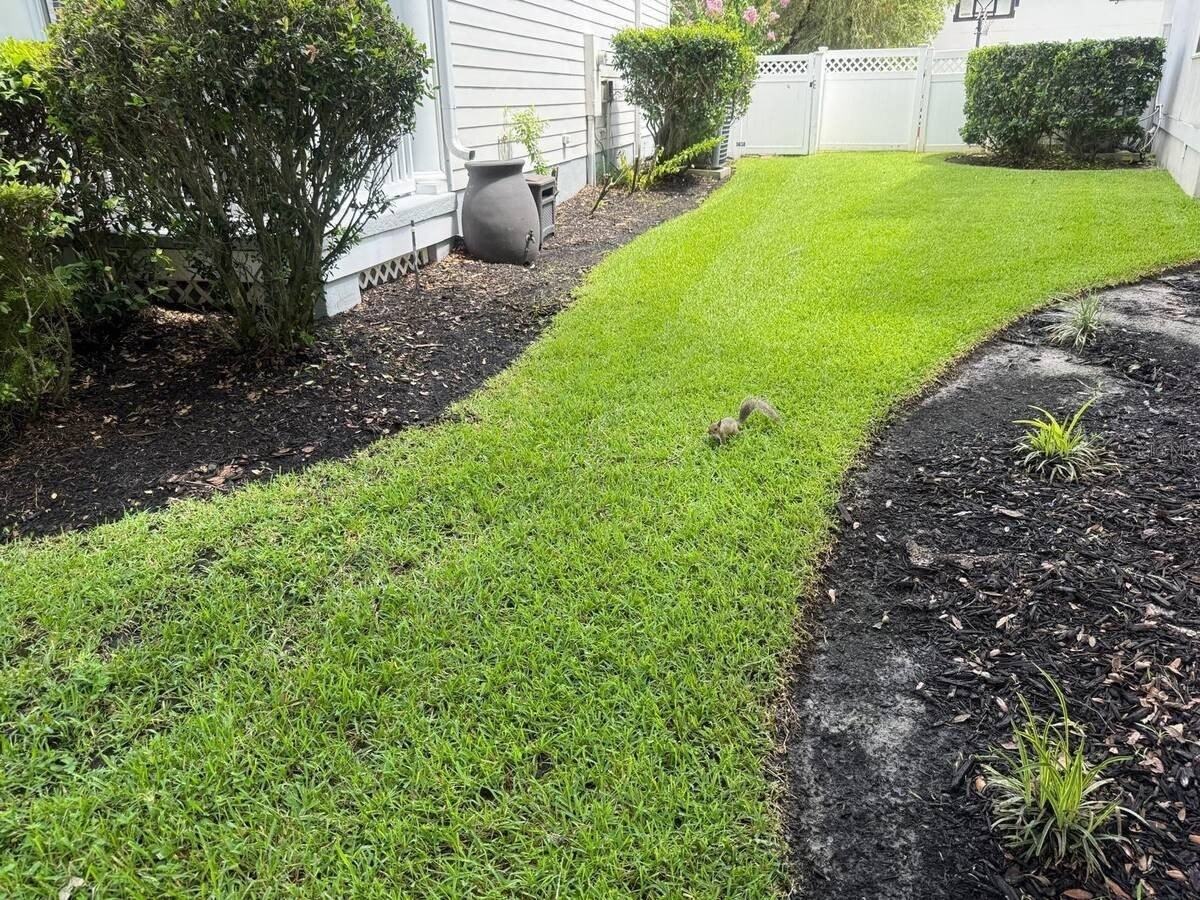 813 Oak Shadows Rd - Photo 5 of 50