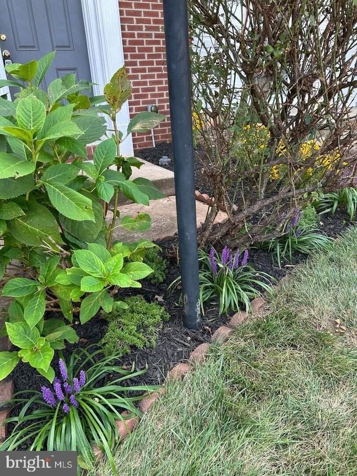 1940 Crepe Myrtle Ln - Photo 6 of 22