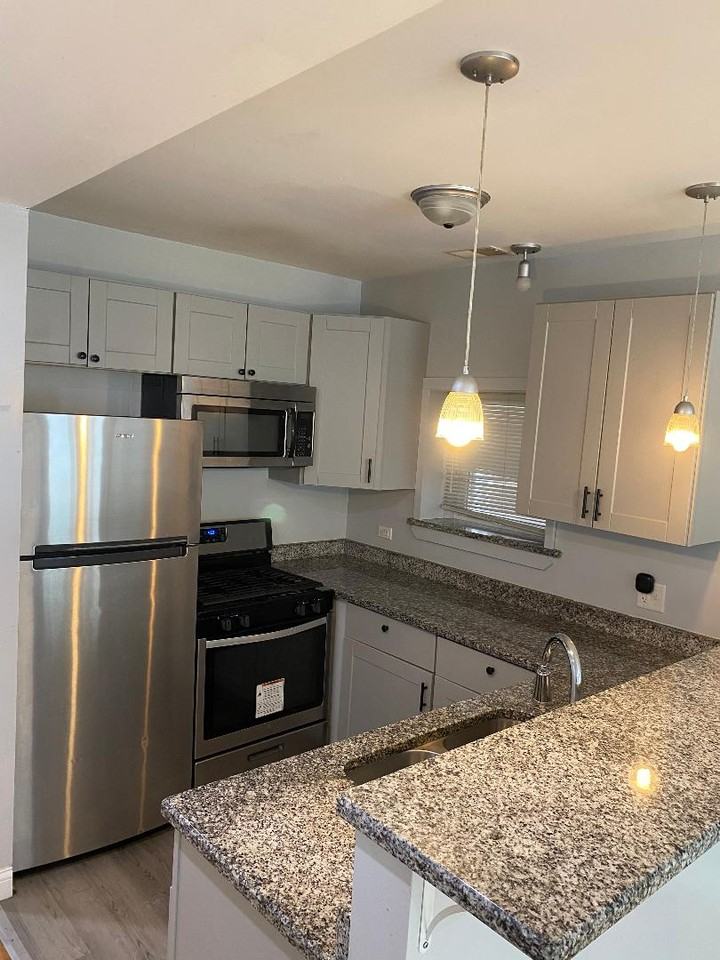 4112 West Cermak Road #1 - Photo 2 of 13