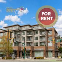 featured image of 1621 Hamilton Avenue #502