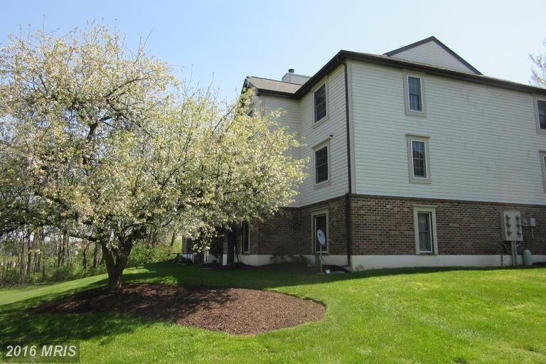 815 Stratford Way #M - Photo 2 of 17