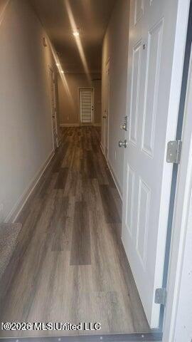 7816 Reagan Ct - Photo 4 of 19