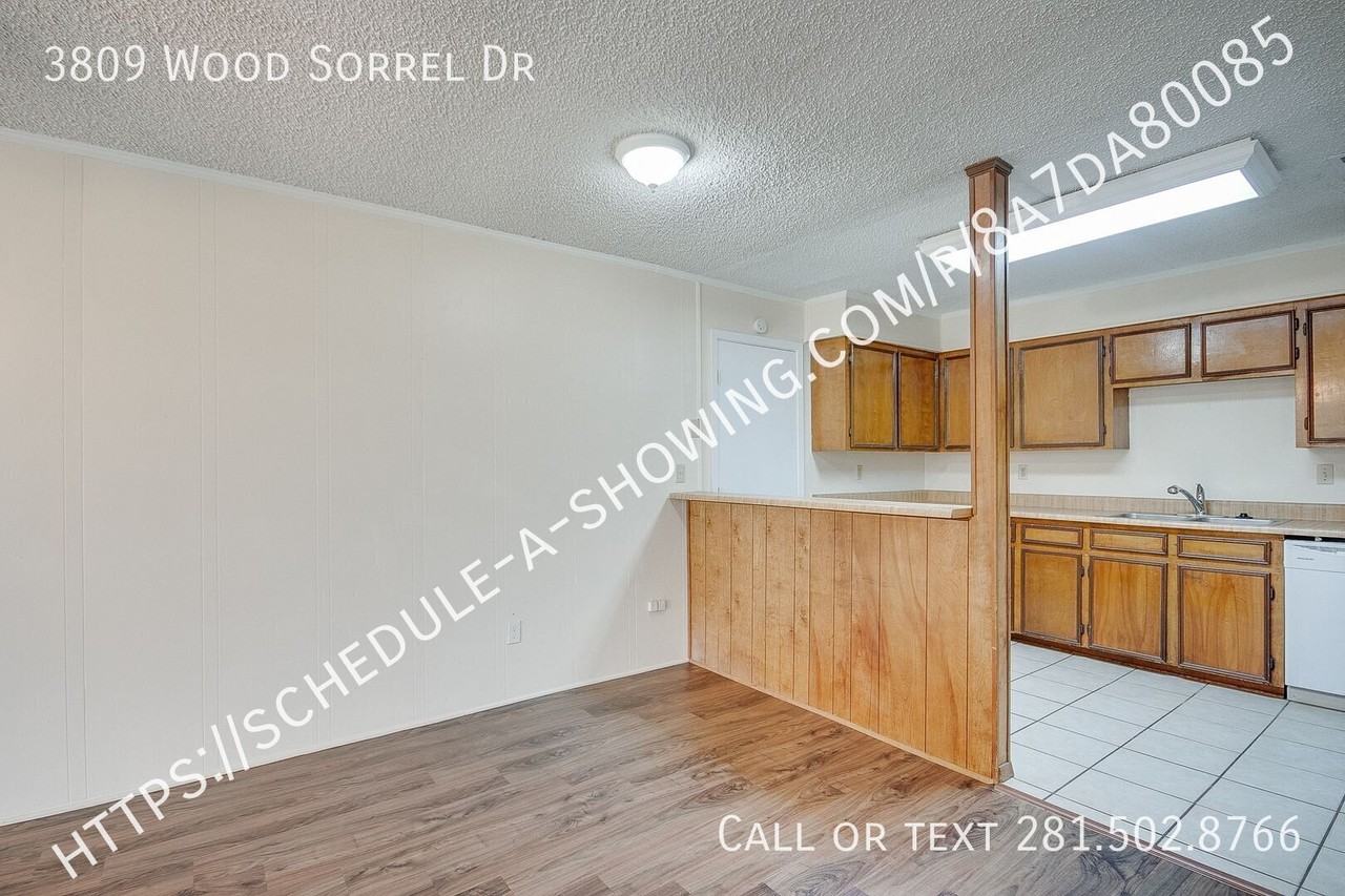 3809 Wood Sorrel Dr - Photo 4 of 13