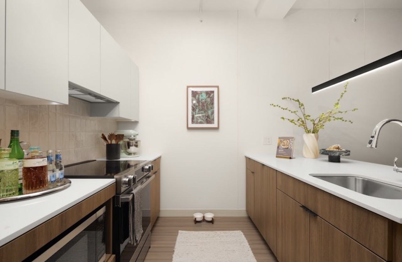57 E Wacker Pl #1204 - Photo 5 of 13