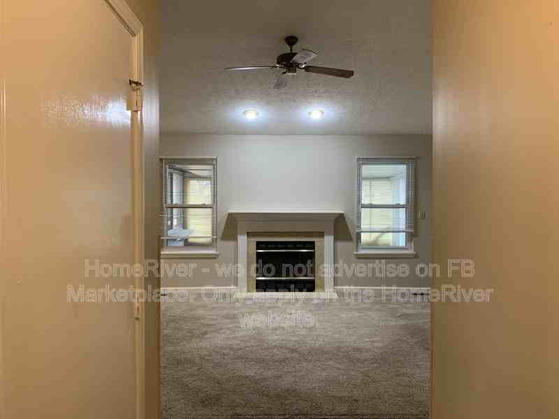3211 Cherry Lake Ln - Photo 4 of 30